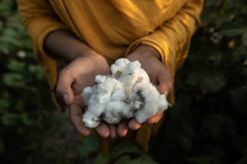 Better-Cotton-Initiative-492x328.jpg